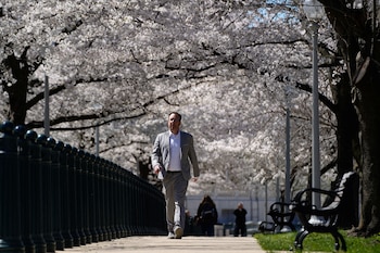 People enjoy the spring weather
