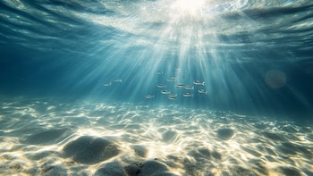 Qué son las olas de calor marinas y cómo potencian el impacto de los huracanes en zonas costeras