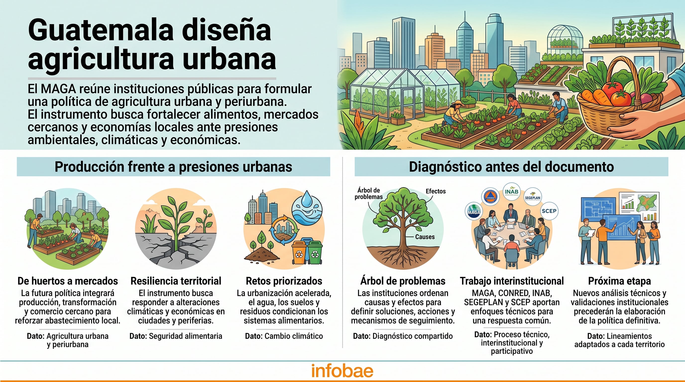 Una infografía de Infobae detalla los ejes de la política de agricultura urbana impulsada por el Gobierno de Guatemala. (Imagen Ilustrativa Infobae)