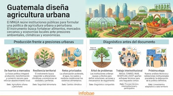 Infografía con ilustraciones sobre la agricultura urbana en Guatemala, huertos de cultivos y reuniones interinstitucionales.