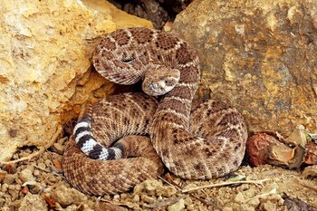 Imagen D4PO7UKUUVB5XCKWTSY5ZFMR5I