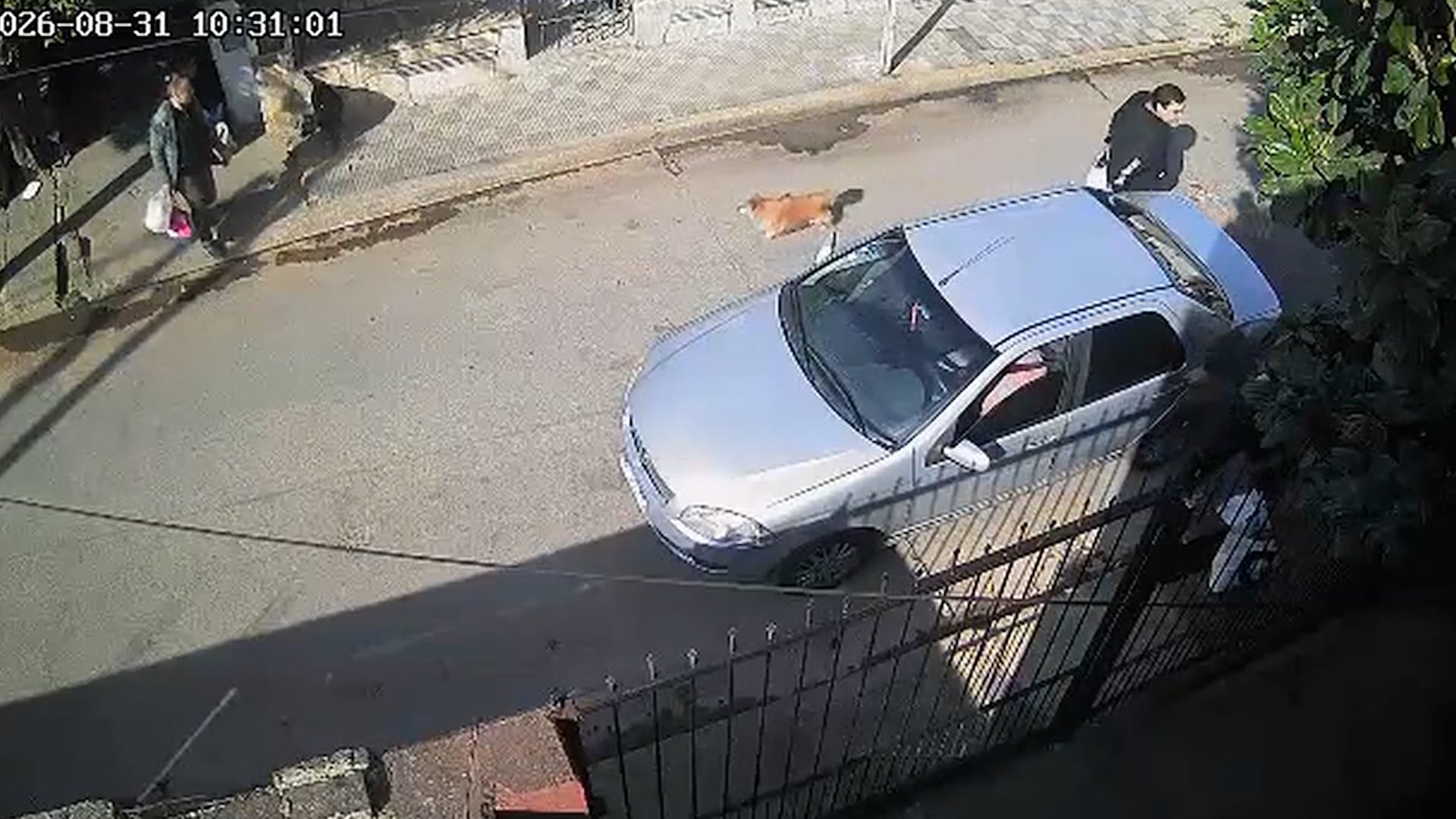 En un descuido, el hombre mayor dejó el bolso con el dinero en el asiento trasero del auto.