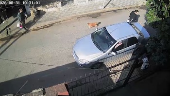 Un automóvil plateado sobre una calle pavimentada con personas caminando y un perro en el centro de la calzada