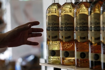 José Cuervo, la marca de
