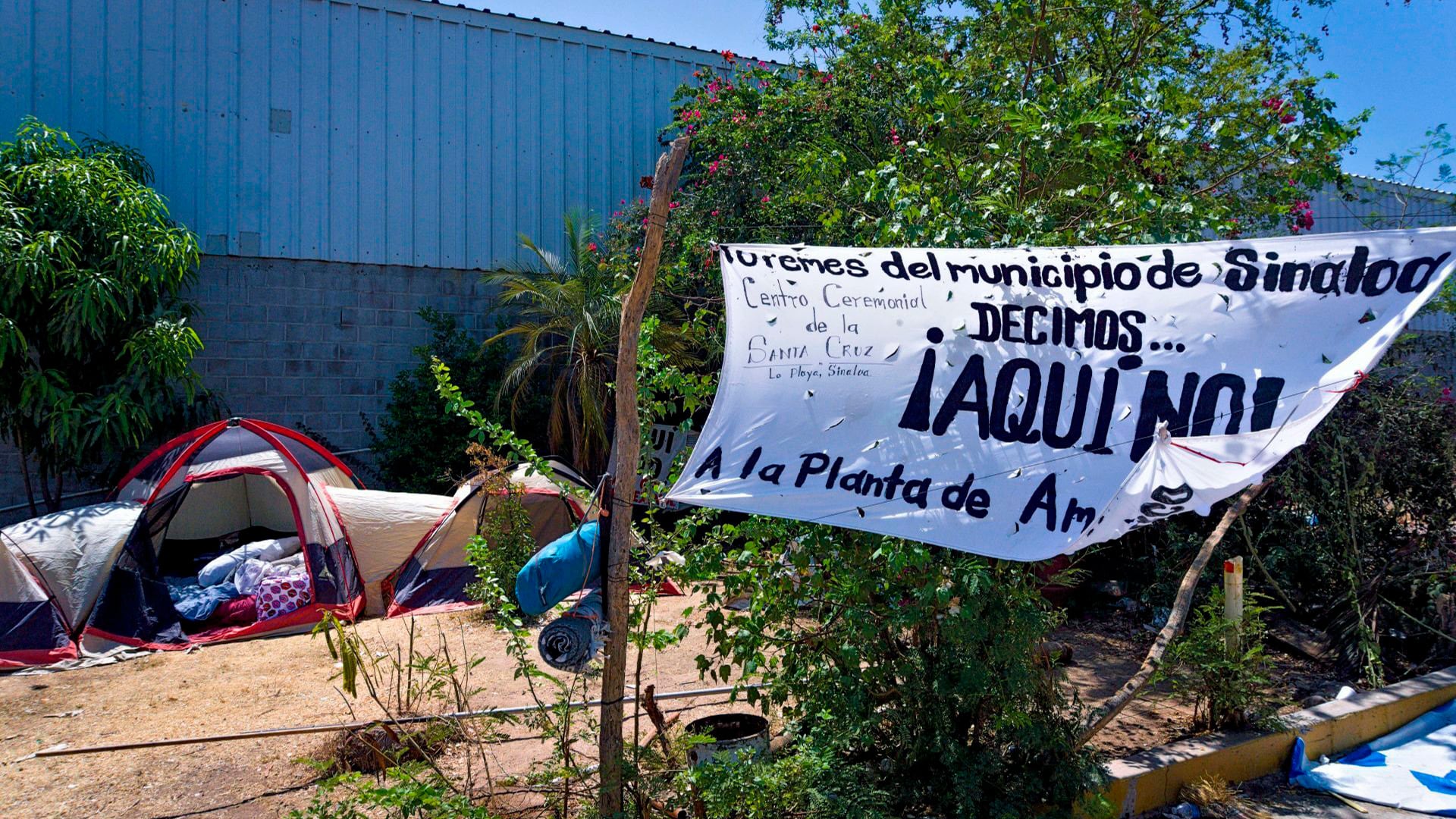 Polo petroquímico de Topolobampo viola el derecho humano a la salud y a ambiente sano, acusa ONG