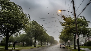 Cómo será el otoño 2026