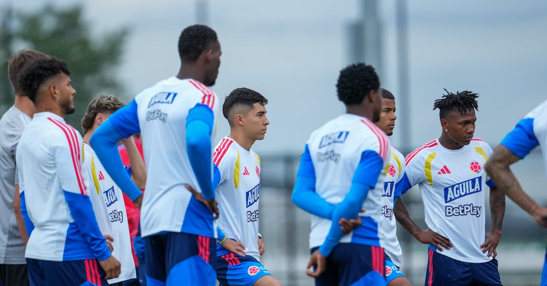 Al menos 16 jugadores son novedad en la convocatoria de Néstor Lorenzo - crédito FCF