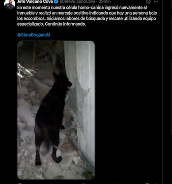 (Captura de pantalla)