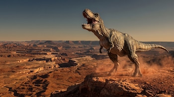 Un Tiranosaurio Rex erguido con la boca abierta sobre una roca, rodeado de polvo frente a un gran cañón.