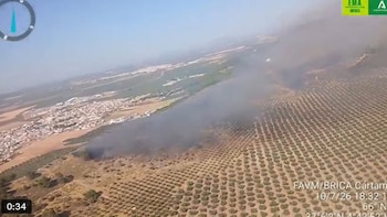 Controlado el incendio forestal declarado este pasado viernes en Humilladero