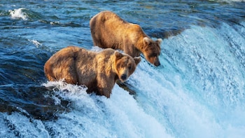 El estado de Alaska reduce