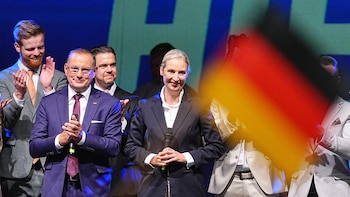 AfD exige elecciones anticipadas a Merz para reemplazarlo "antes de Navidad"