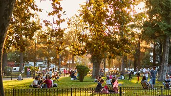 Cuáles son las nuevas tendencias