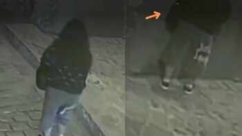 Cámaras de seguridad del centro