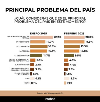 Encuesta M&F febrero 2025