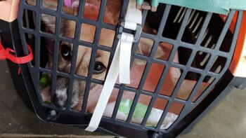 Foto tomada de rede sociales