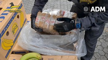 En esta imagen tomada de un video proporcionado por la policía italiana de finanzas, un agente sostiene bolsas de cocaína luego de ser encontradas escondidas en un contenedor cargado de bananas, el martes 16 de mayo de 2023 en el puerto de Gioia Tauro, en el sur de Italia. (Policía italiana de finanzas vía AP)