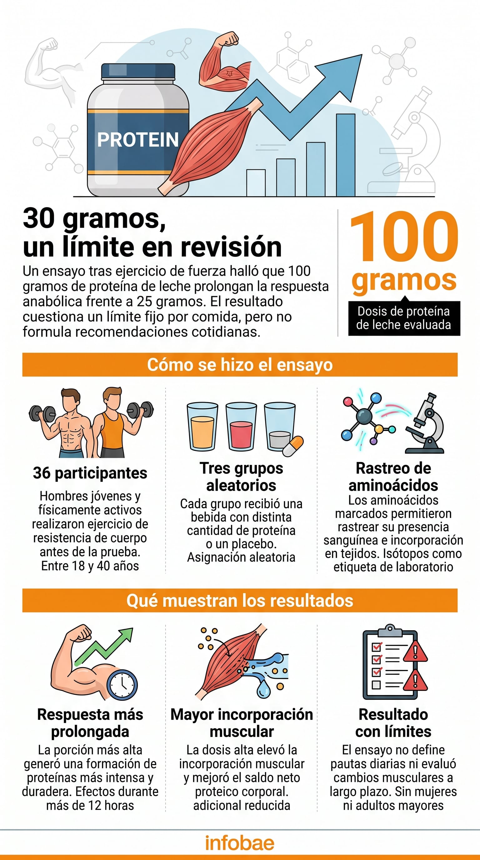La investigación publicada en Cell Reports Medicine mostró que 100 gramos de proteína de leche generaron una formación de proteínas más intensa y prolongada que 25 gramos (Imagen Ilustrativa Infobae)