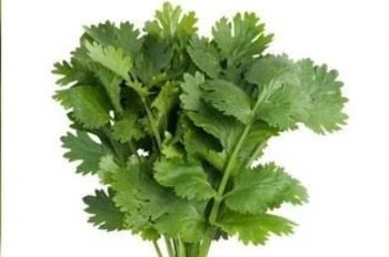 El cilantro debe lavarse bien