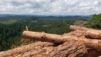 Miles de colombianos podrían perder