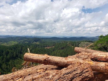 El Decreto 1191 de 2025