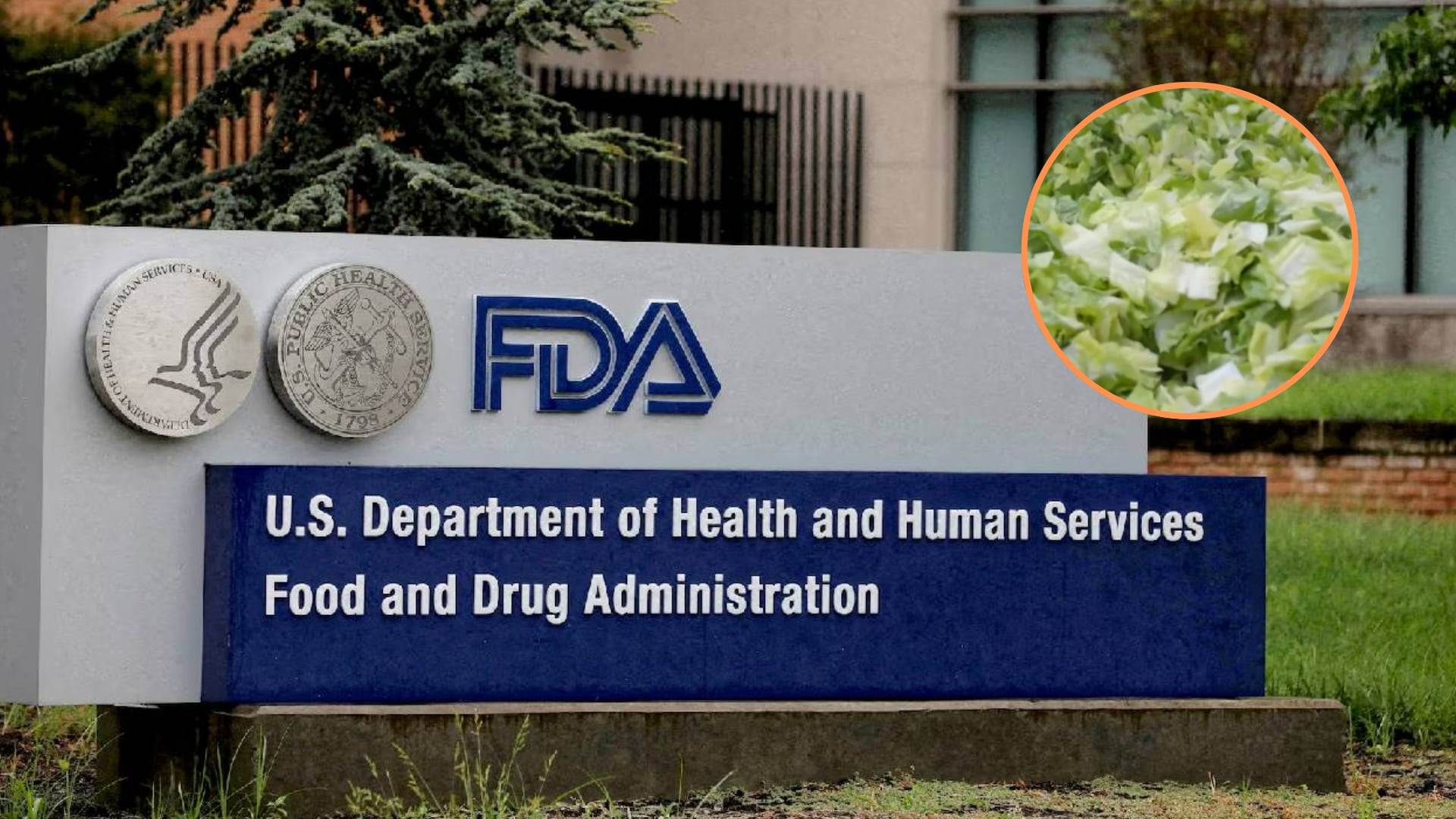 La FDA detectó un falso positivo en la lechuga de Taylor Farms y el brote de Cyclospora sigue sin un origen claro