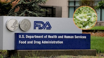 La FDA detectó un falso positivo en la lechuga de Taylor Farms y el brote de Cyclospora sigue sin un origen claro