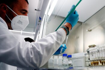 Los autores solicitarán la aprobación