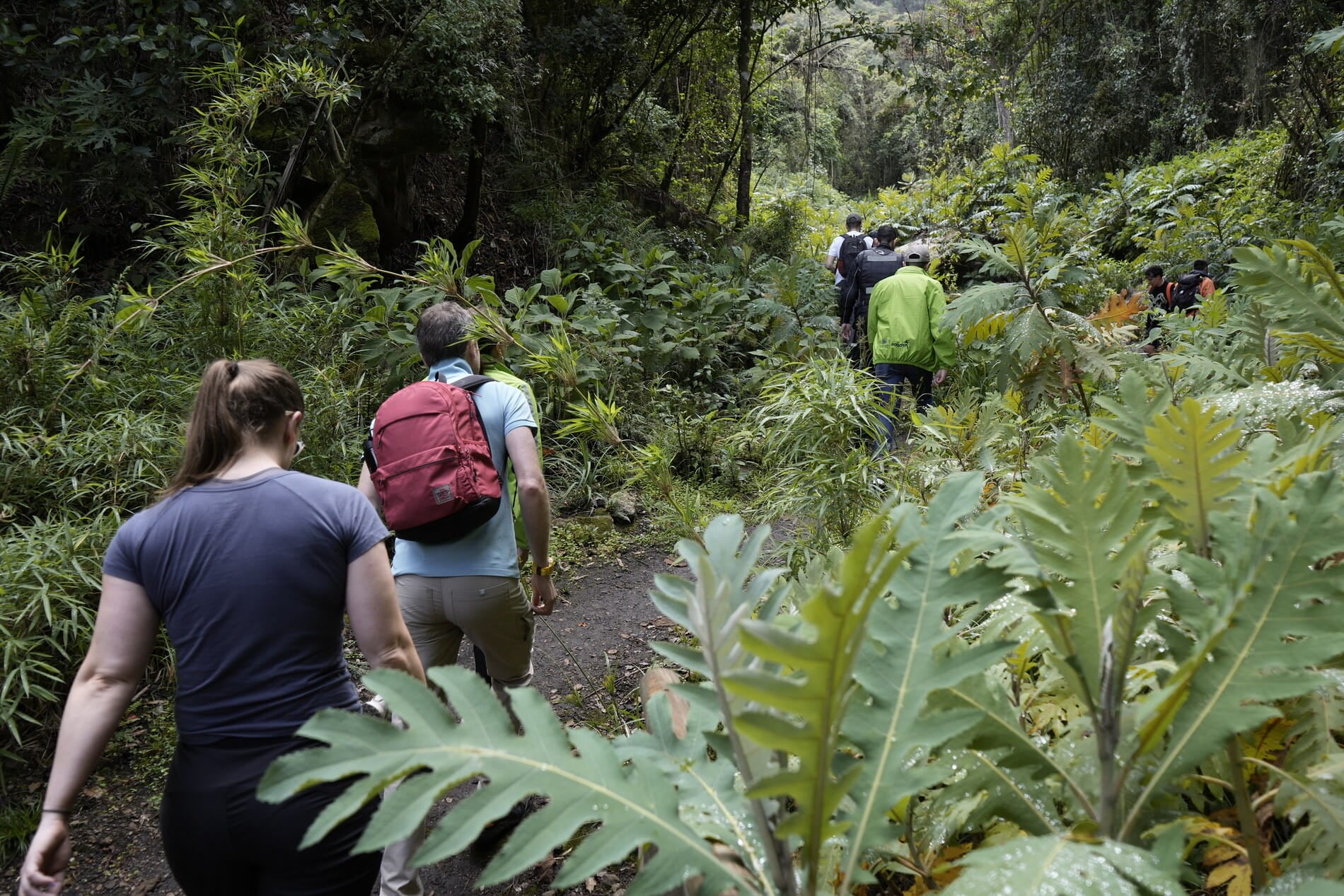 Respetar normas ambientales, no ingresar con mascotas y evitar dejar basura son requisitos clave para preservar la biodiversidad en Semana Santa - crédito Eaab