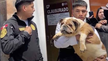 Operativo: Serenazgo, PNP y áreas municipales de Salud y Fiscalización intervinieron un departamento del sexto piso en San Juan de Miraflores. Difusión