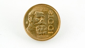 El modelo cuenta con la