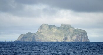 Isla de Malpelo, área protegida