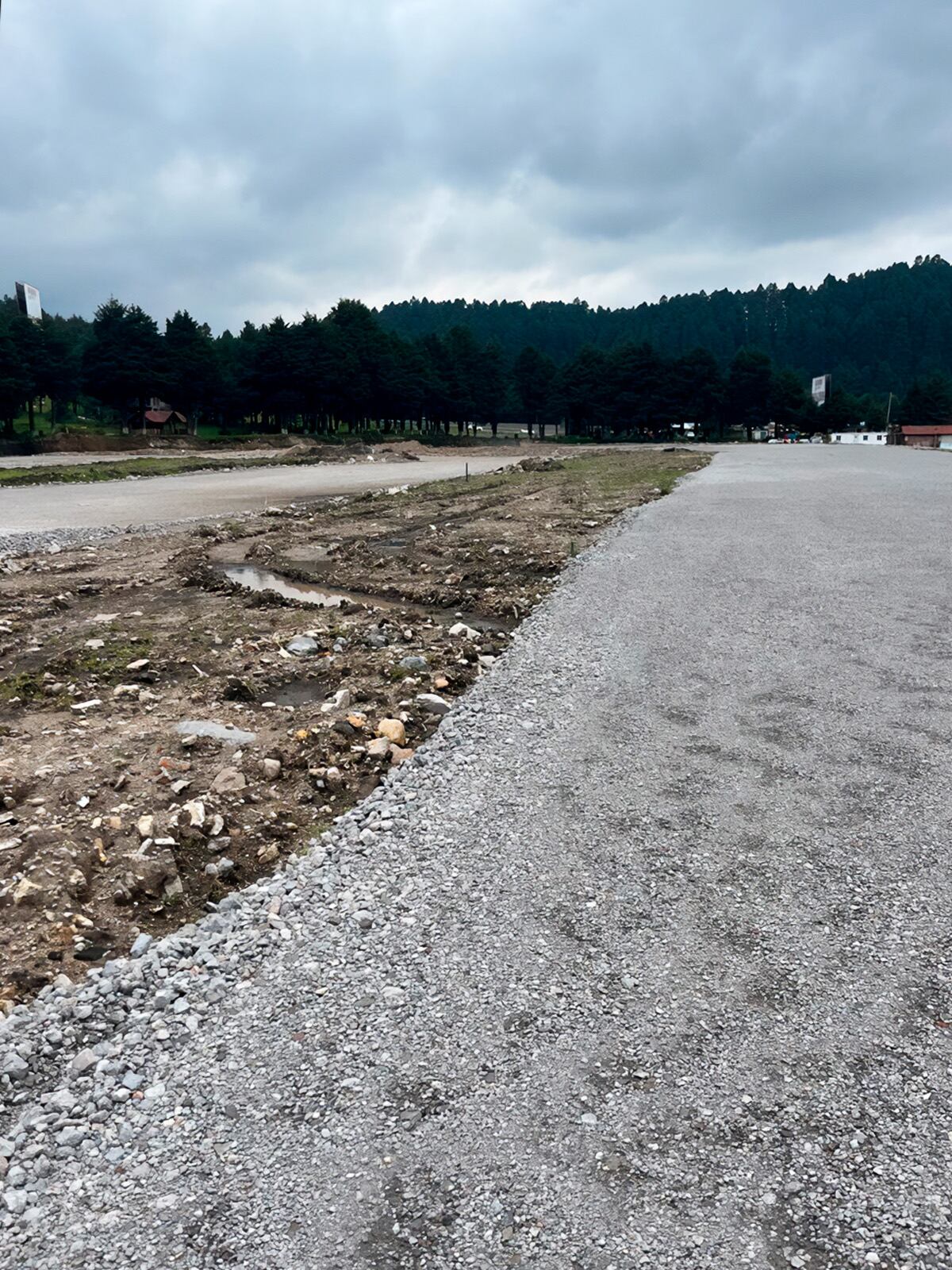 El organismo colocó sellos oficiales y aseguró maquinaria como medidas de seguridad en los sitios intervenidos (PROFEPA)