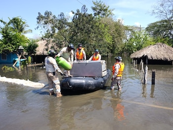 El médico veterinario, oriundo de