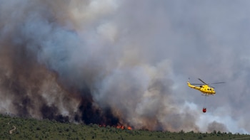 El incendio de Guadalajara continúa en nivel 2 y ha afectado a unas 12.000 hectáreas