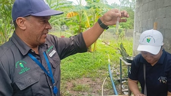 Panamá reduce a la mitad