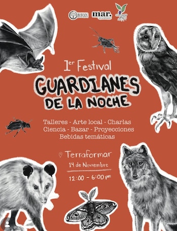 festival guardianes de la noche