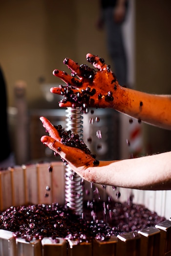 La bodega Raquis revoluciona la