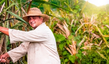 La Comisión de Hacienda avaló