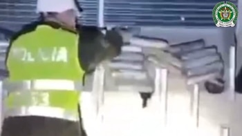 Golpe en el Caribe: incautan más de 300 kilos de cocaína en operación conjunta cerca de Pedernales