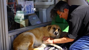 "Empecé con un colchoncito y