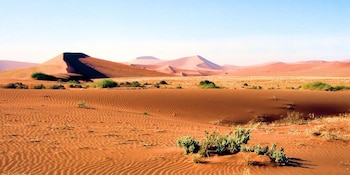 El desierto del Namib figura en la discusión científica como el desierto más antiguo del planeta por la persistencia de condiciones áridas durante decenas de millones de años (Wikimedia Commons)