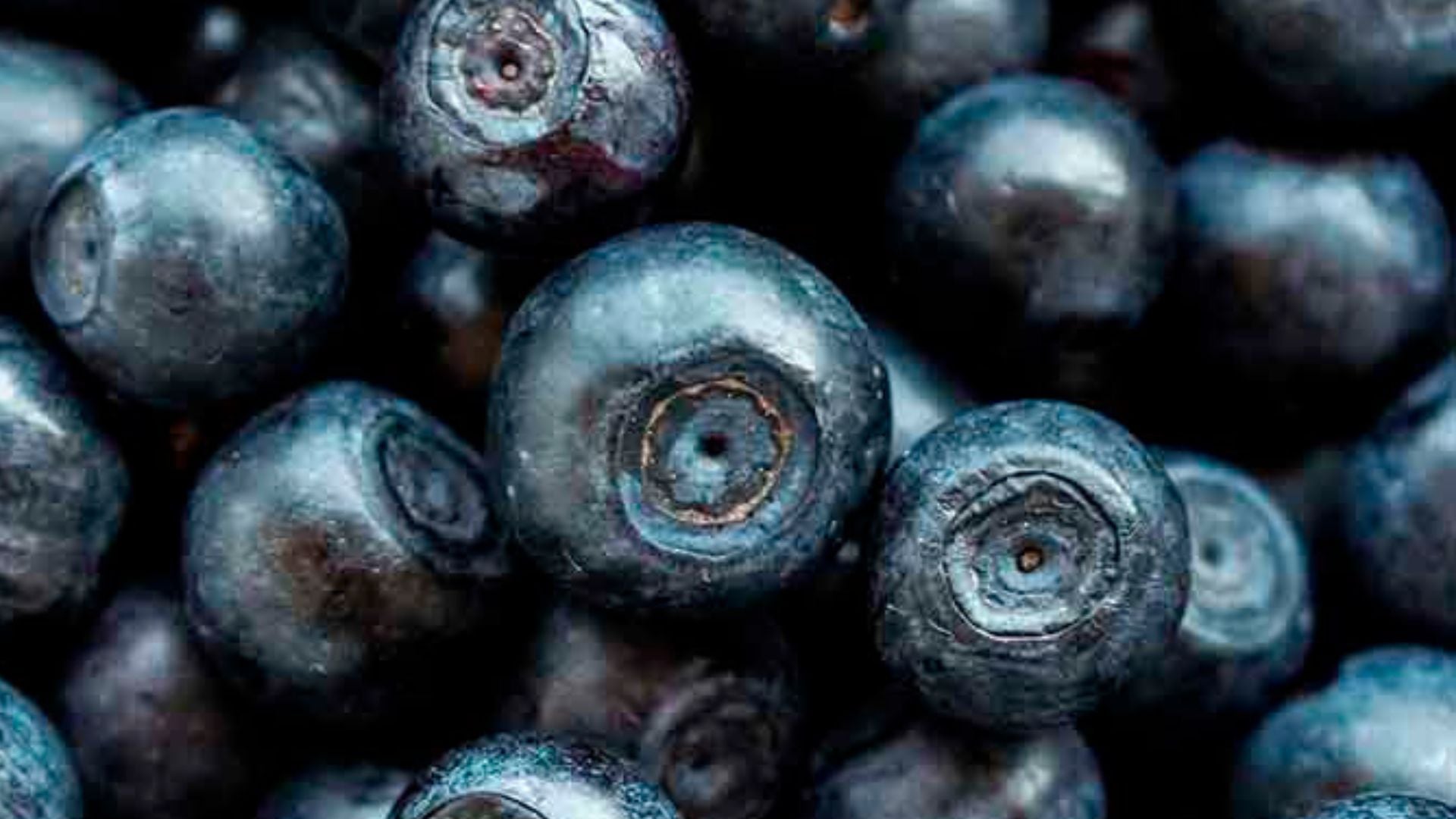 Los arándanos frescos lideraron el segmento de frutas exportadas con US$2.457 millones, seguidos por uvas y paltas, claves en el crecimiento sectorial.