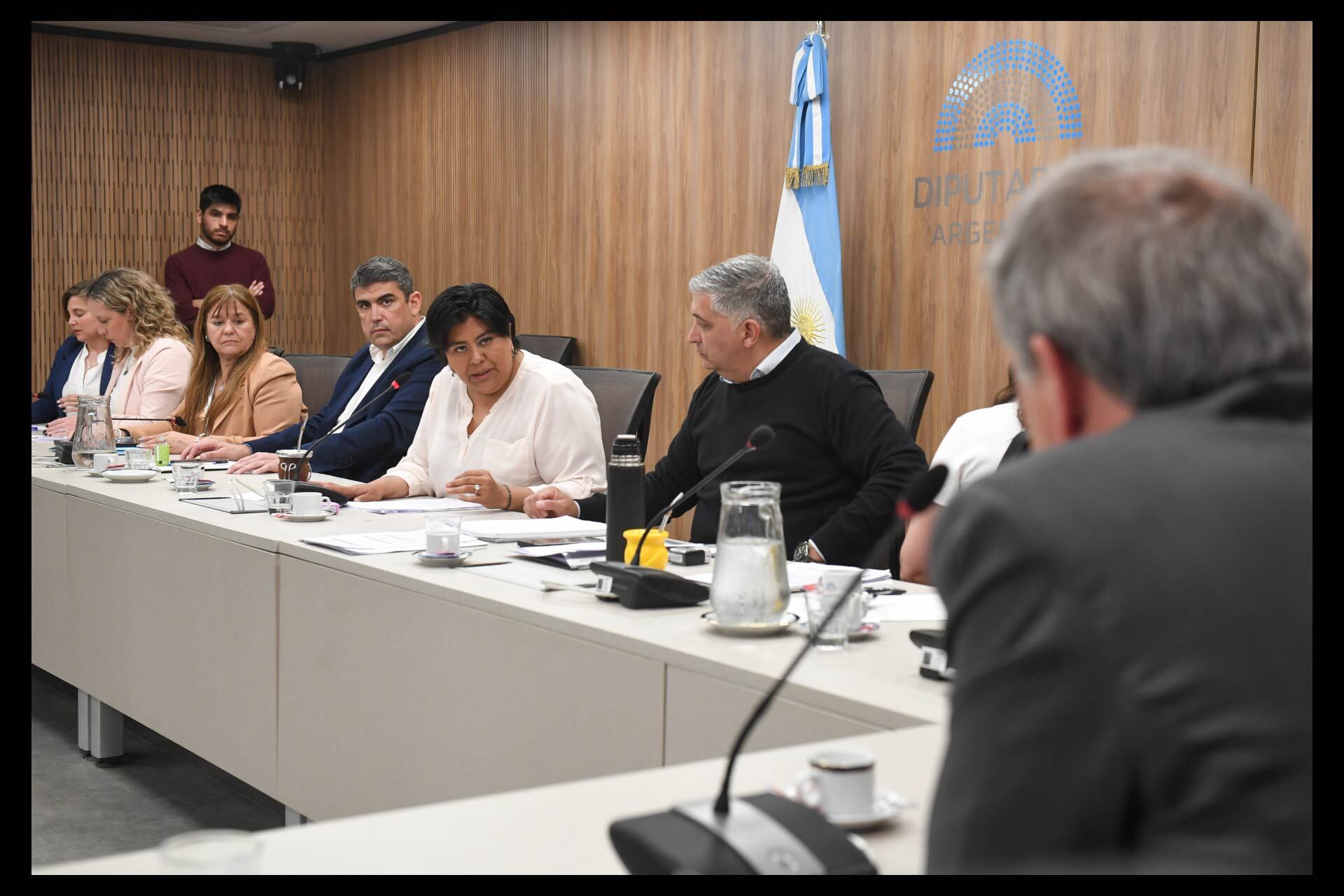 La diputada Natalia Sarapura presidiendo la comisión. De espaldas, en primer plano, Nicolás Mayoraz