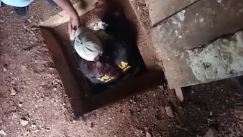 ‘Los Pulpos’ usan método del