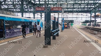 Denunció que la tiraron al piso al subir al tren en Constitución, pero la Justicia rechazó la demanda y la hizo pagar los gastos