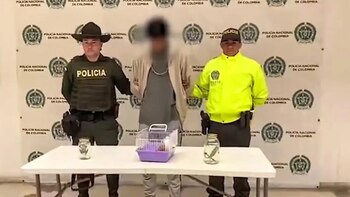 Traficaban animales exóticos para usarlos