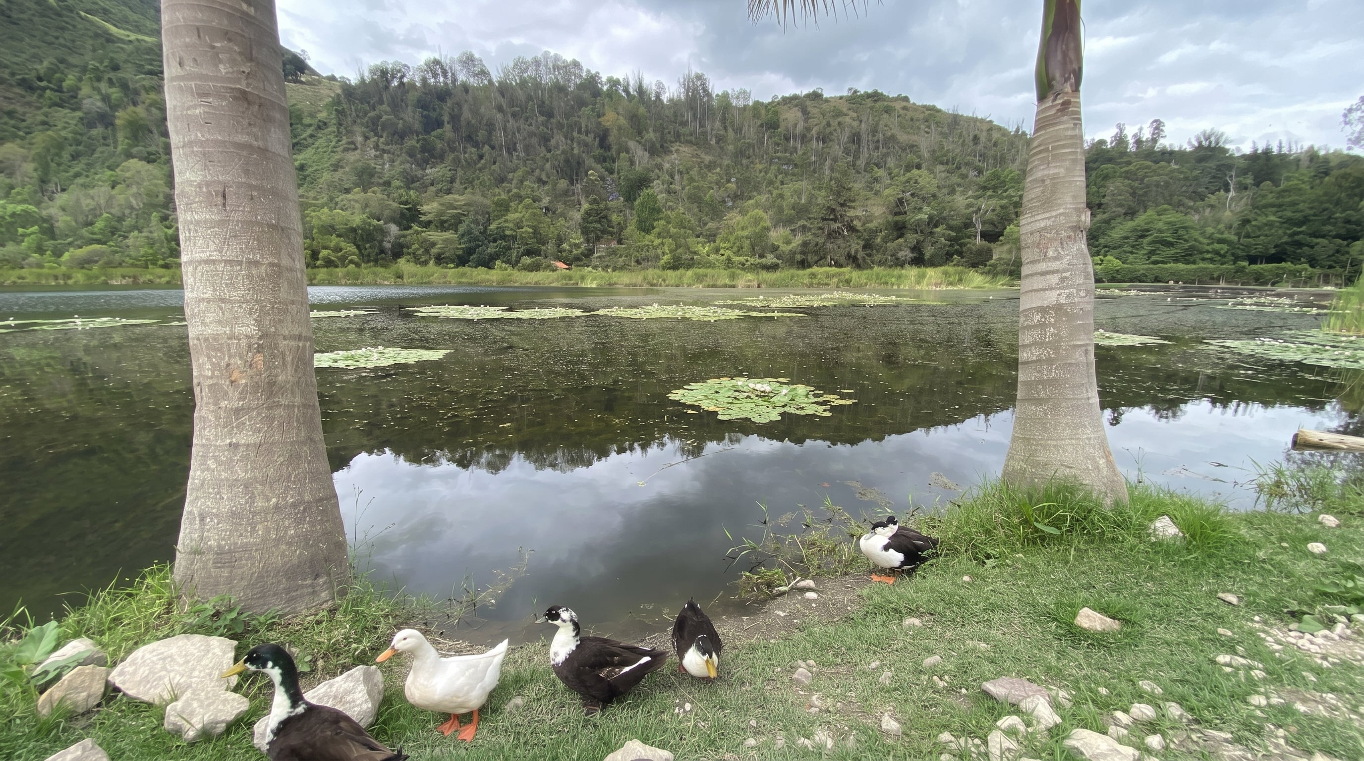 La laguna de Ubaque representaba el punto final del recorrido sagrado muisca y hoy funciona como un espacio de descanso para visitantes - crédito Google Maps