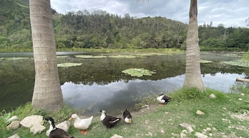 La laguna de Ubaque representaba el punto final del recorrido sagrado muisca y hoy funciona como un espacio de descanso para visitantes - crédito Google Maps