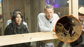 La Granja VIP en vivo: